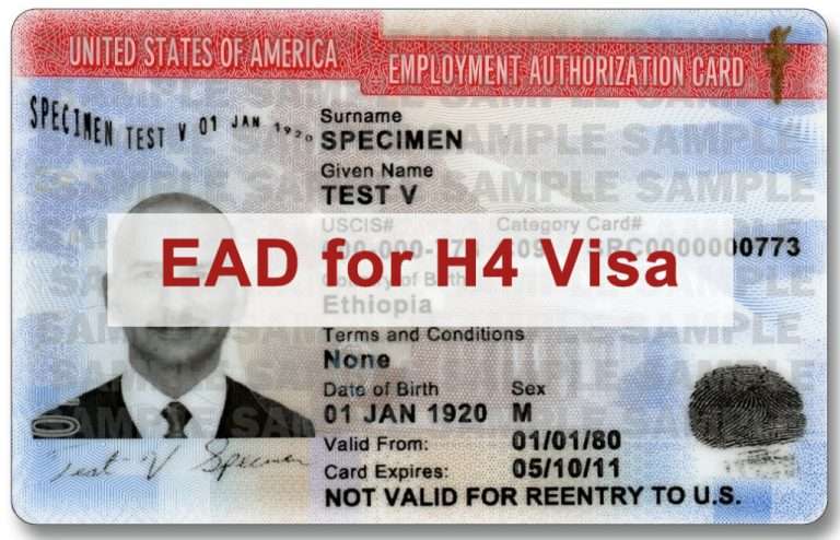 visa h4